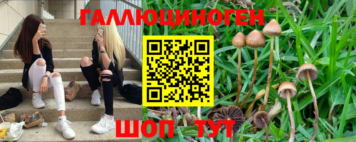Котельники  Псилоцибиновые грибы прущие грибы  Вход с VPN  Галлюциногенные грибы MAGIC MUSHROOMS 